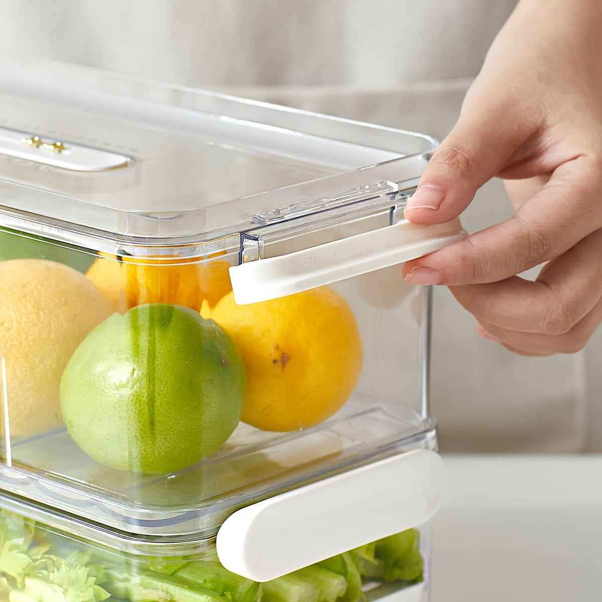 Mosrugs | FreshKeep - Durable PET Container for Extended Freshness