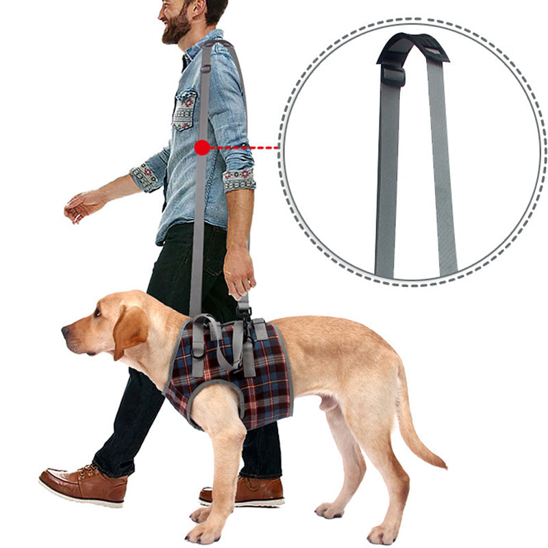 Mosrugs | Orthopedic Rear Leg Support Harness for Dogs – Ideal for Arthritis, Hip Dysplasia & Mobility Aid