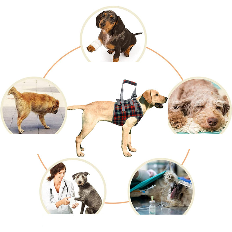 Mosrugs | Orthopedic Rear Leg Support Harness for Dogs – Ideal for Arthritis, Hip Dysplasia & Mobility Aid