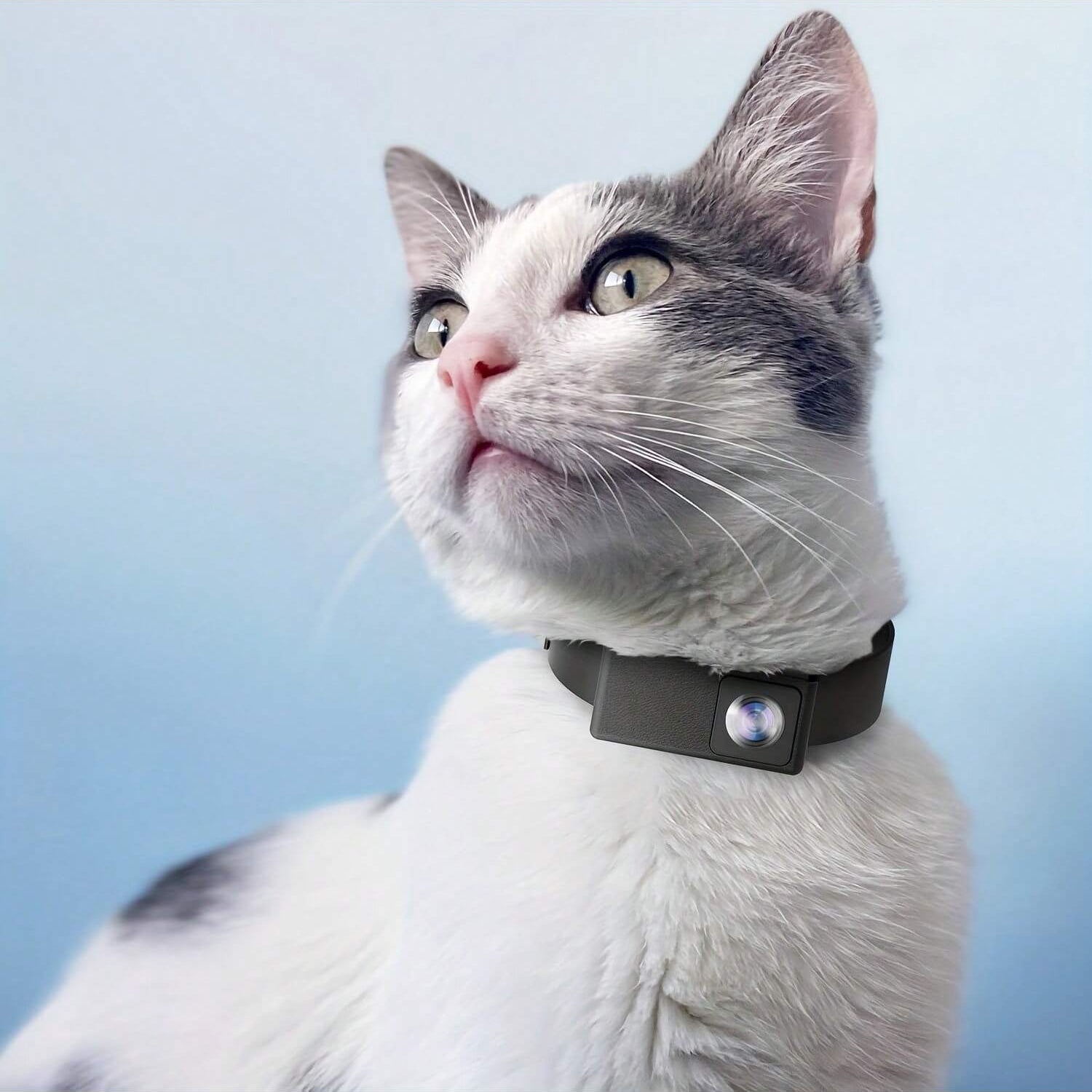 Mosrugs | Portable 160° Pet Camera for Cats & Dogs with 1080P HD Video – 32GB