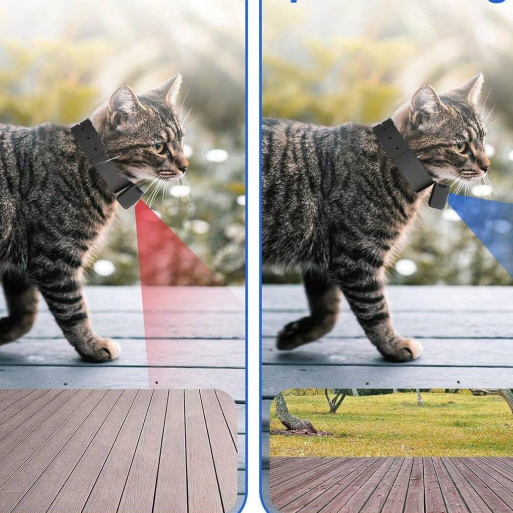 Mosrugs | Portable 160° Pet Camera for Cats & Dogs with 1080P HD Video – 32GB
