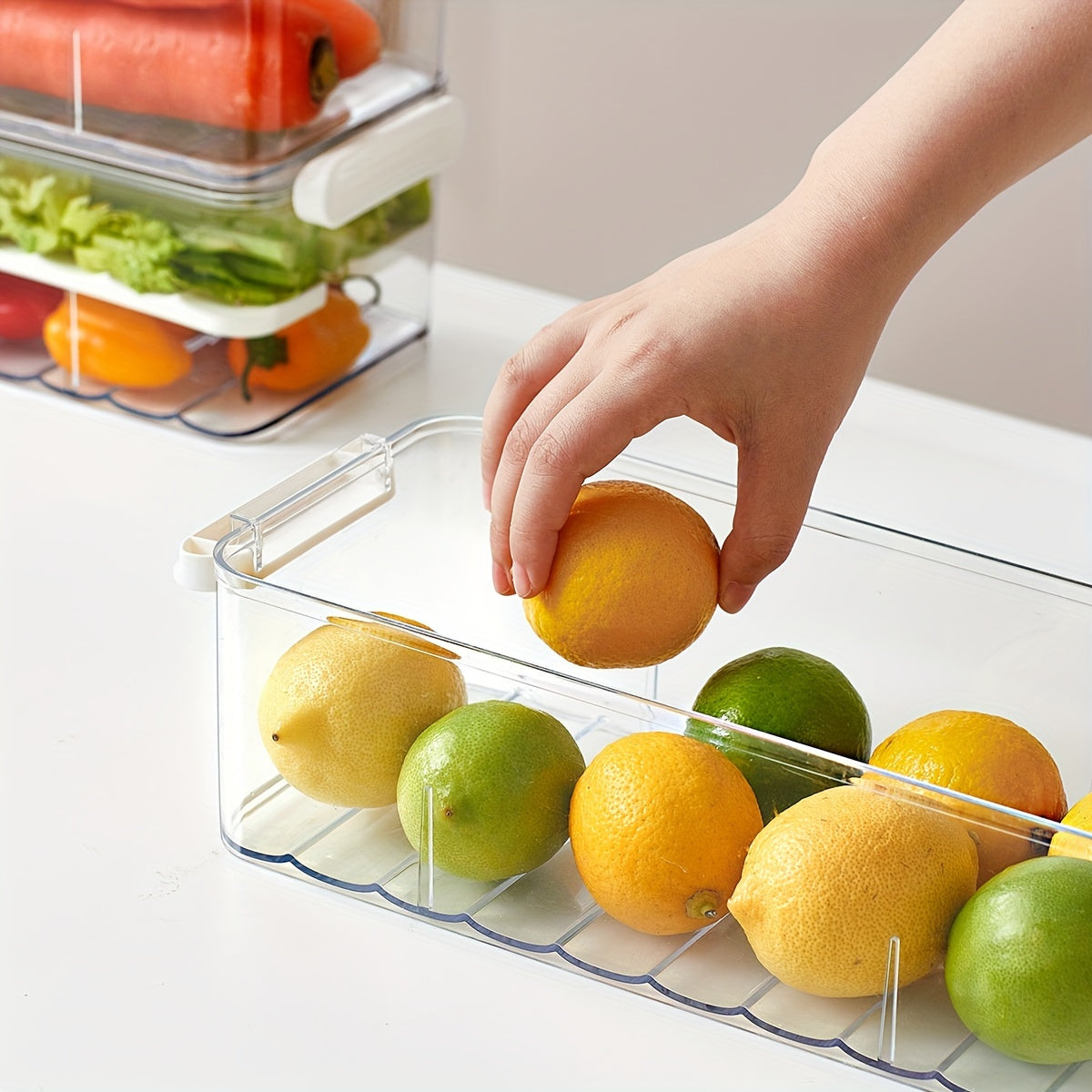 Mosrugs | FreshKeep - Durable PET Container for Extended Freshness
