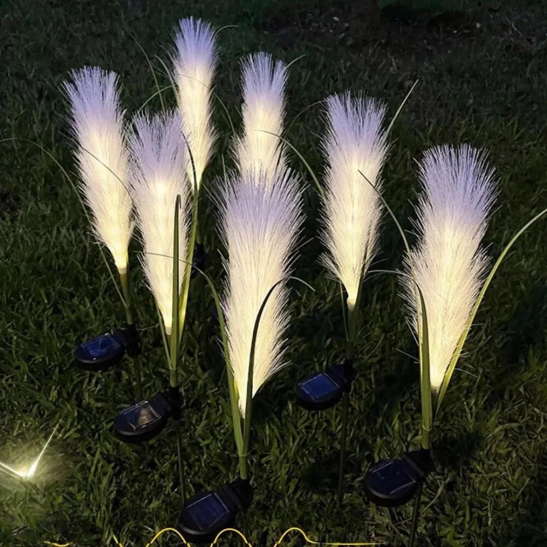 Mosrugs | EcoGlo – Sustainable Solar Reed Lamp