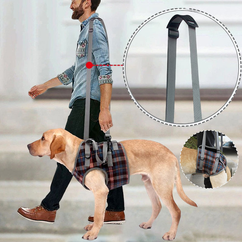 Mosrugs | Orthopedic Rear Leg Support Harness for Dogs – Ideal for Arthritis, Hip Dysplasia & Mobility Aid