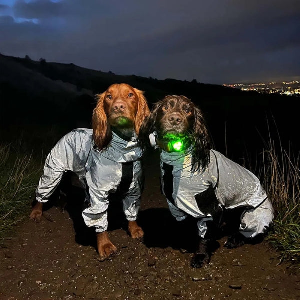 Mosrugs | Waterproof Dog Coat with Legs – Reflective Dog Rain Jacket for Small & Large Breeds | Best Rain Coat for Dogs UK