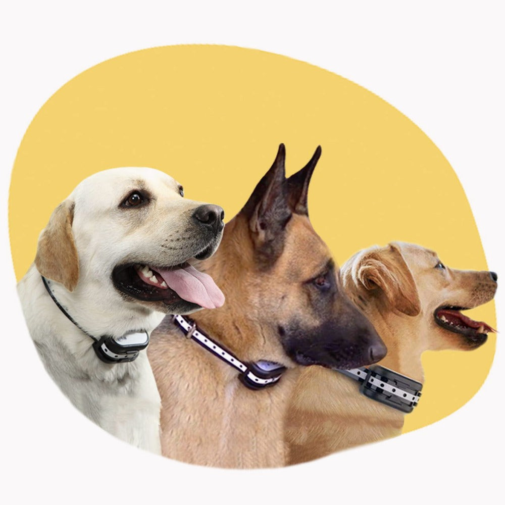 Mosrugs | SafeZone Wireless Dog Fence & Training Collar – Rechargeable, Waterproof & Pet-Friendly Correction Modes