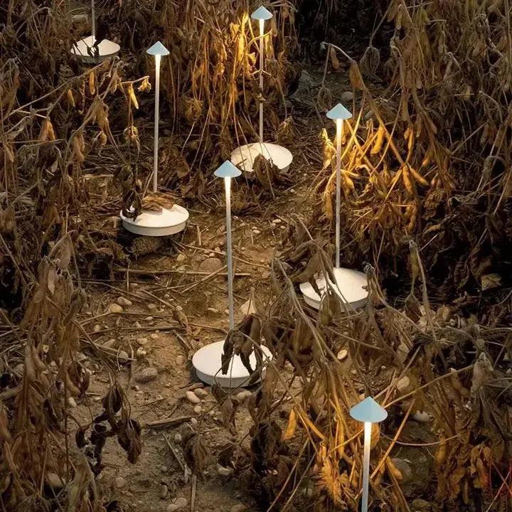 Mosrugs | BeamLuxe - Sleek Wireless Table Light