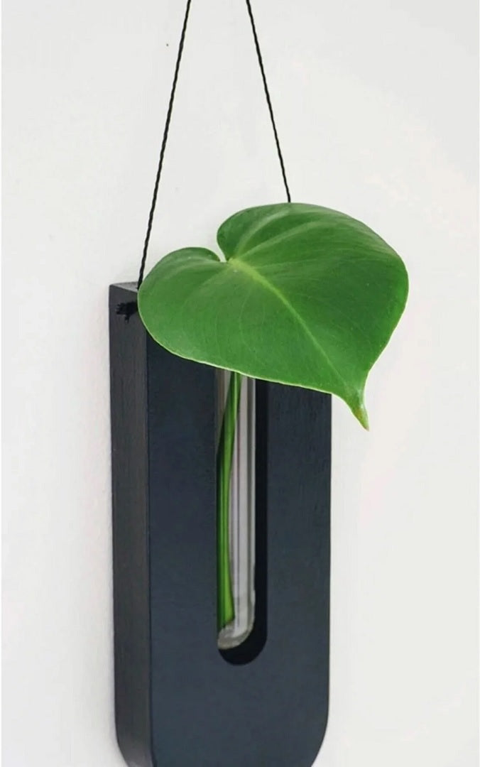 Mosrugs | WoodFlora | Rustic Wooden Wall Flower Holder Set – Creative Plant Display for Indoor Spaces