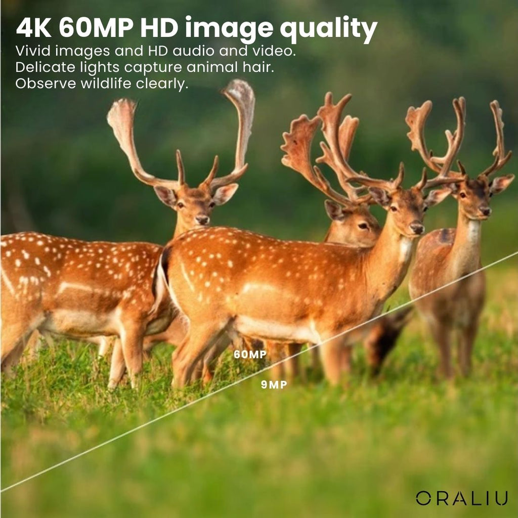 Mosrugs | 4K Ultra HD Wildlife Camera – 60MP with App Control