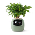 Mosrugs | VerdeGlow – Self-Watering Smart Plant Pot | Automatic Irrigation | Modern Indoor Planter