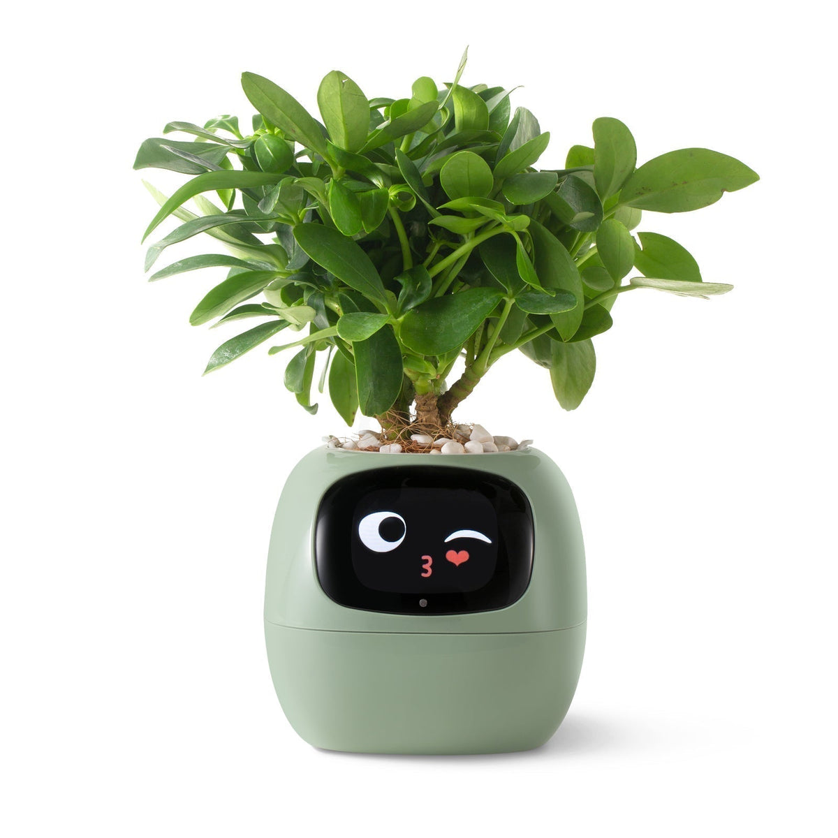 Mosrugs | VerdeGlow – Self-Watering Smart Plant Pot | Automatic Irrigation | Modern Indoor Planter