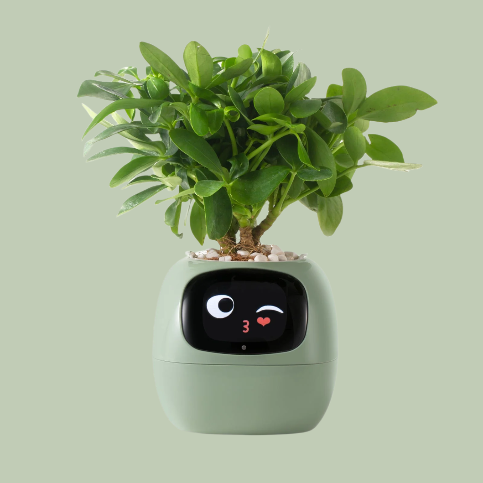 Mosrugs | VerdeGlow – Self-Watering Smart Plant Pot | Automatic Irrigation | Modern Indoor Planter