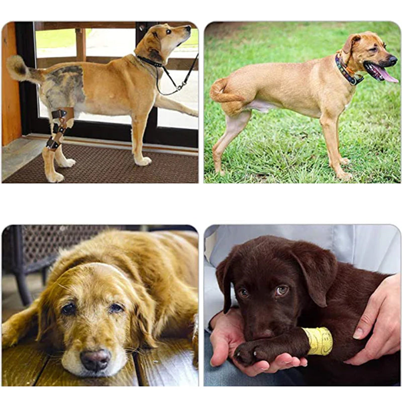 Mosrugs | Orthopedic Rear Leg Support Harness for Dogs – Ideal for Arthritis, Hip Dysplasia & Mobility Aid