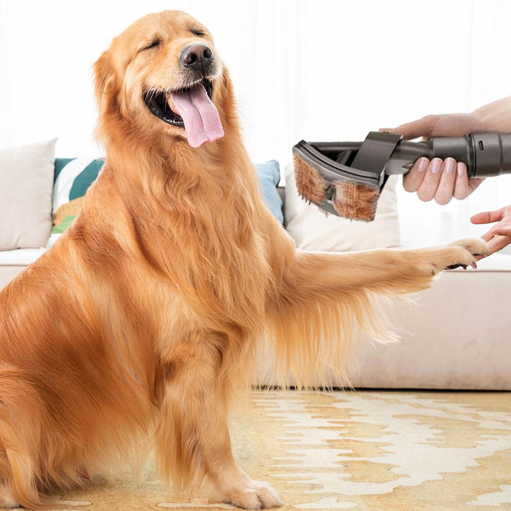 Mosrugs | DogCatFri VacuumBrush – Pet Grooming Vacuum Brush Attachment for Easy Hair Removal