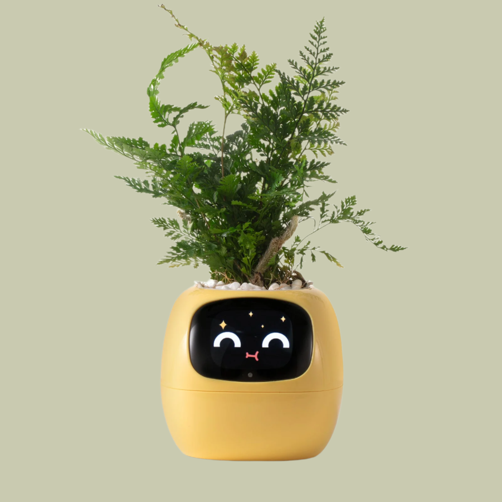 Mosrugs | VerdeGlow – Self-Watering Smart Plant Pot | Automatic Irrigation | Modern Indoor Planter