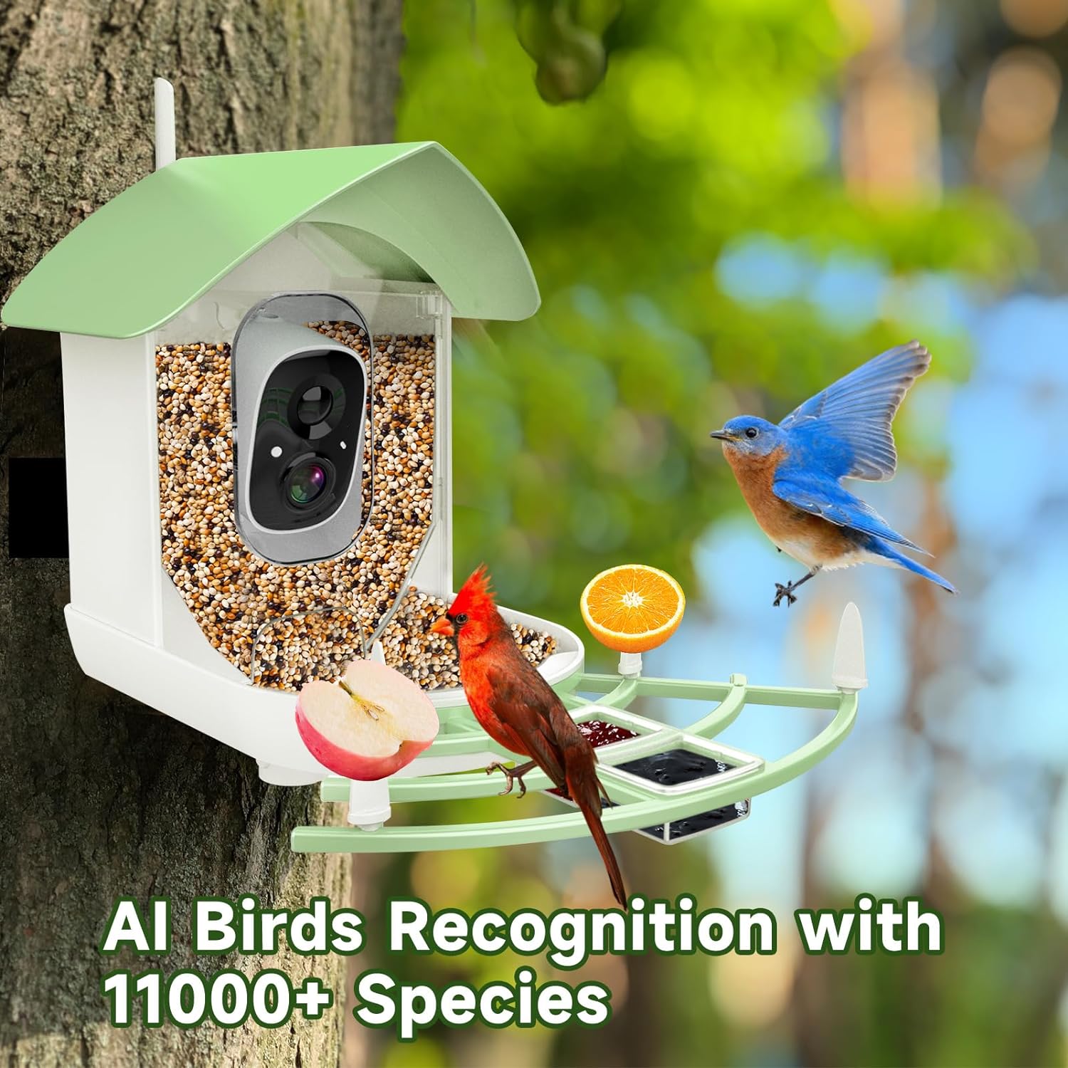 Mosrugs | Smart Bird Feeder Camera with AI Recognition & Night Vision