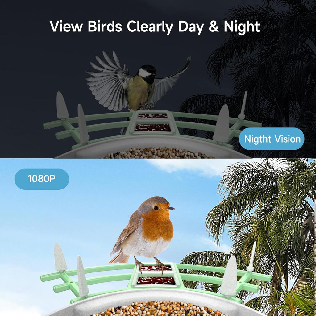 Mosrugs | Smart Bird Feeder Camera with AI Recognition & Night Vision