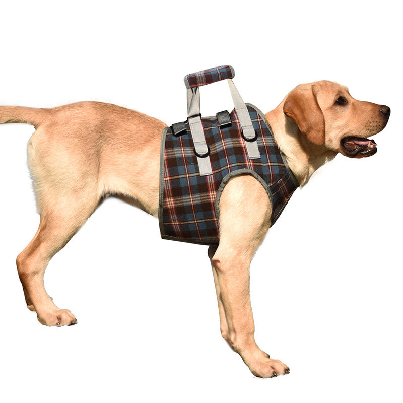 Mosrugs | Orthopedic Rear Leg Support Harness for Dogs – Ideal for Arthritis, Hip Dysplasia & Mobility Aid