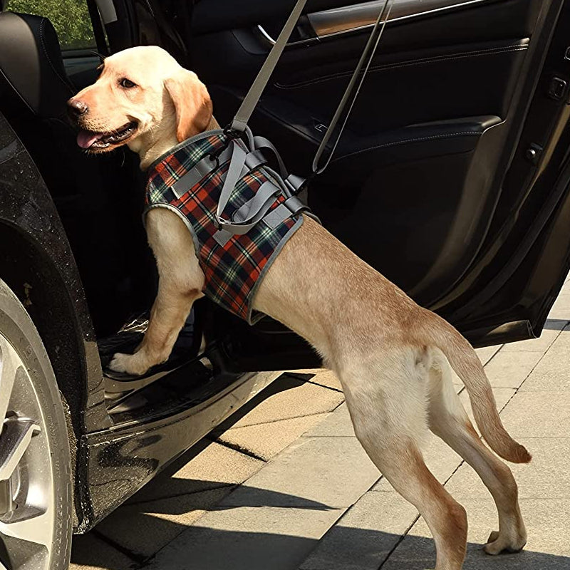 Mosrugs | Orthopedic Rear Leg Support Harness for Dogs – Ideal for Arthritis, Hip Dysplasia & Mobility Aid