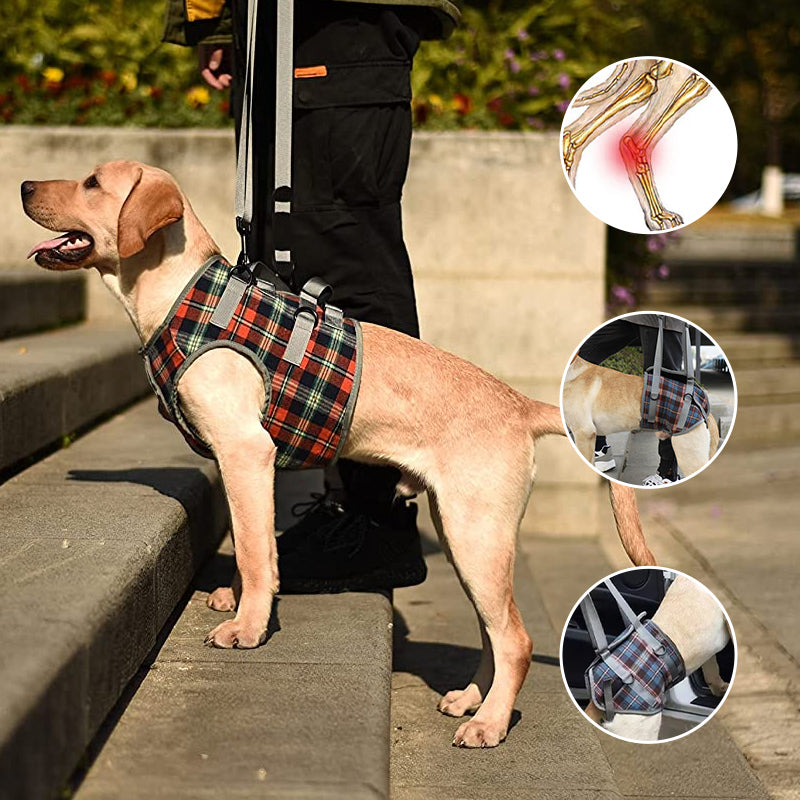 Mosrugs | Orthopedic Rear Leg Support Harness for Dogs – Ideal for Arthritis, Hip Dysplasia & Mobility Aid