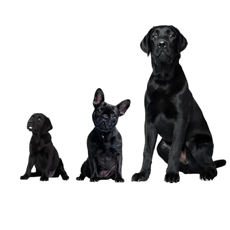 Mosrugs | Ultrasonic Dog Repeller – USB Rechargeable Anti-Bark Training Device for All Breeds