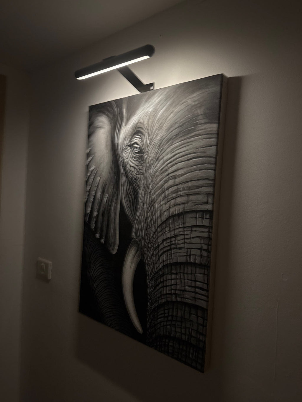 Mosrugs | ArtGlow Wireless LED Picture Light – Rechargeable Wall Lamp with Remote & Adjustable Dimming