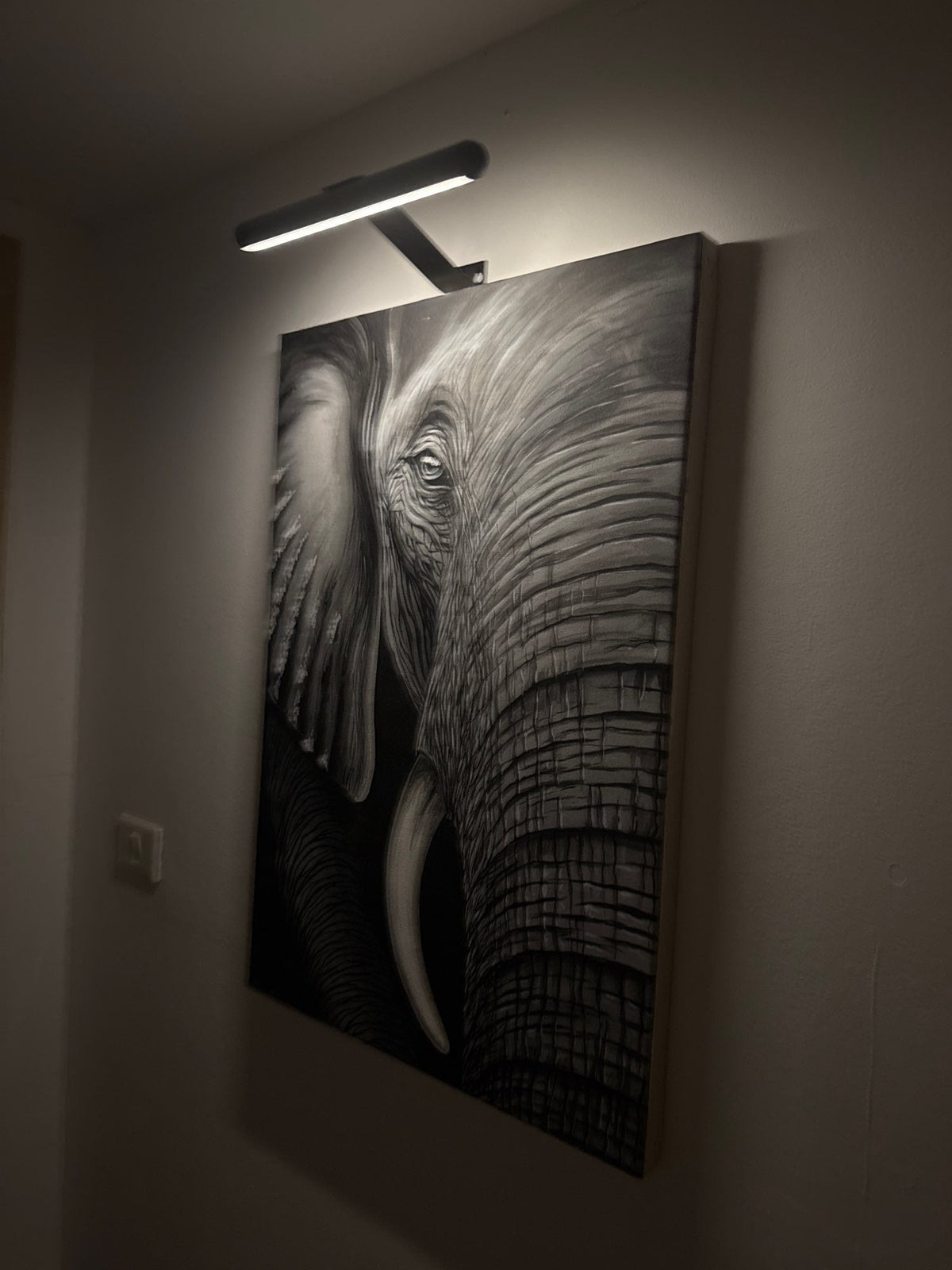 Mosrugs | ArtGlow Wireless LED Picture Light – Rechargeable Wall Lamp with Remote & Adjustable Dimming