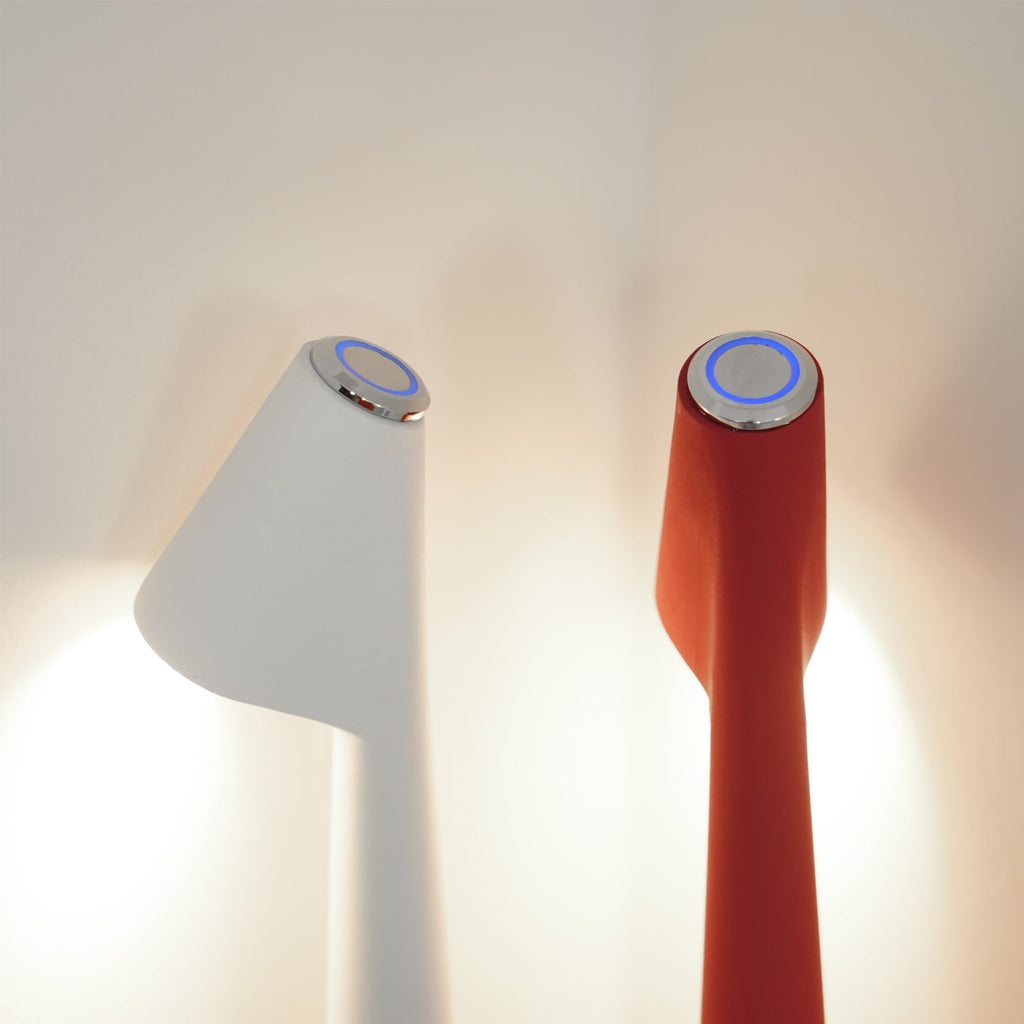 Mosrugs | EcoLight – Energy-Efficient Rechargeable Desk Lamp
