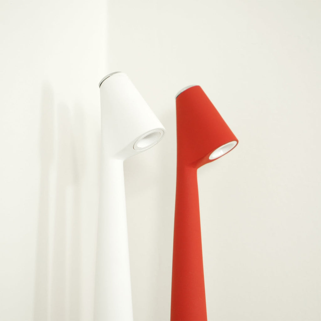 Mosrugs | EcoLight – Energy-Efficient Rechargeable Desk Lamp