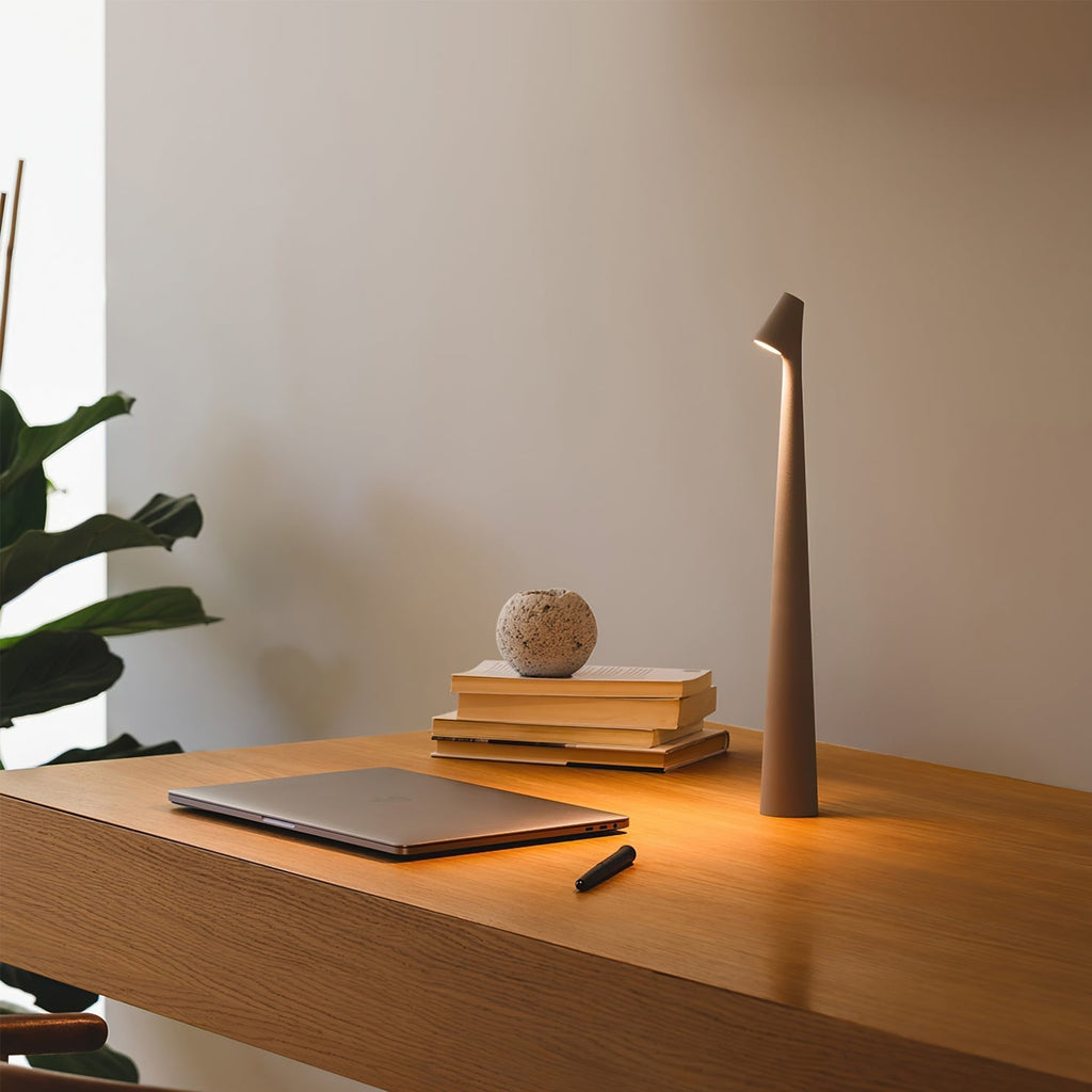 Mosrugs | EcoLight – Energy-Efficient Rechargeable Desk Lamp