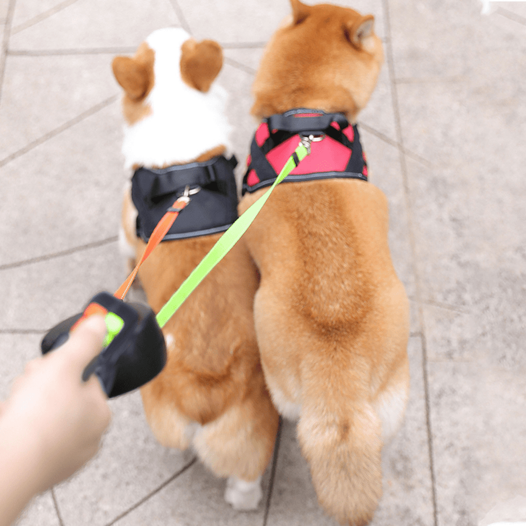 Mosrugs | DoubleDog Retractable Dual Dog Lead with Anti-Tangle Swivel & Built-in Torch – 4m Extendable for Two Dogs
