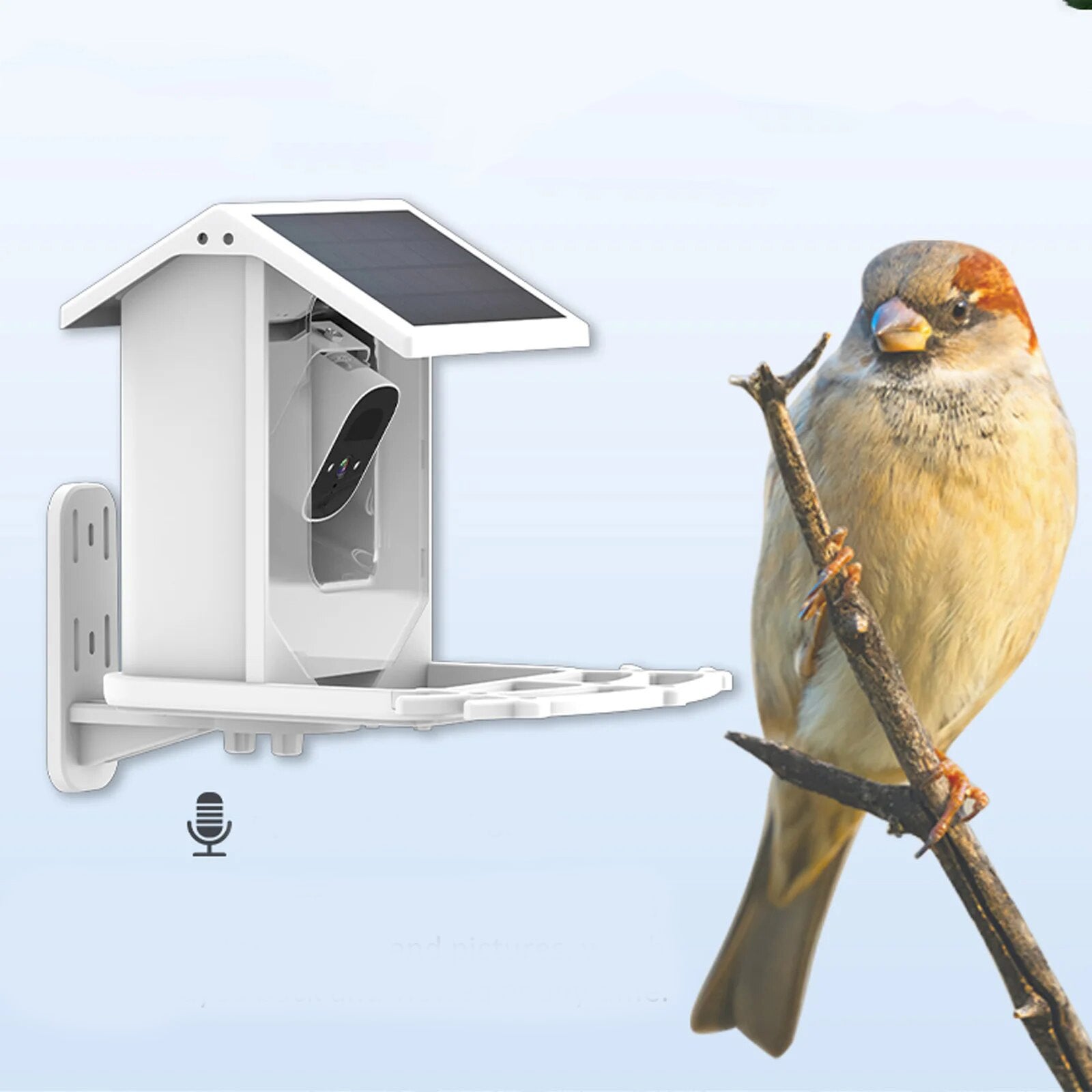 Mosrugs | Smart Solar Bird Feeder with Bird Recognition – Weatherproof Garden Feeder