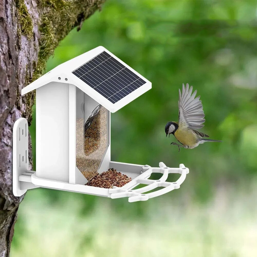 Mosrugs | Smart Solar Bird Feeder with Bird Recognition – Weatherproof Garden Feeder