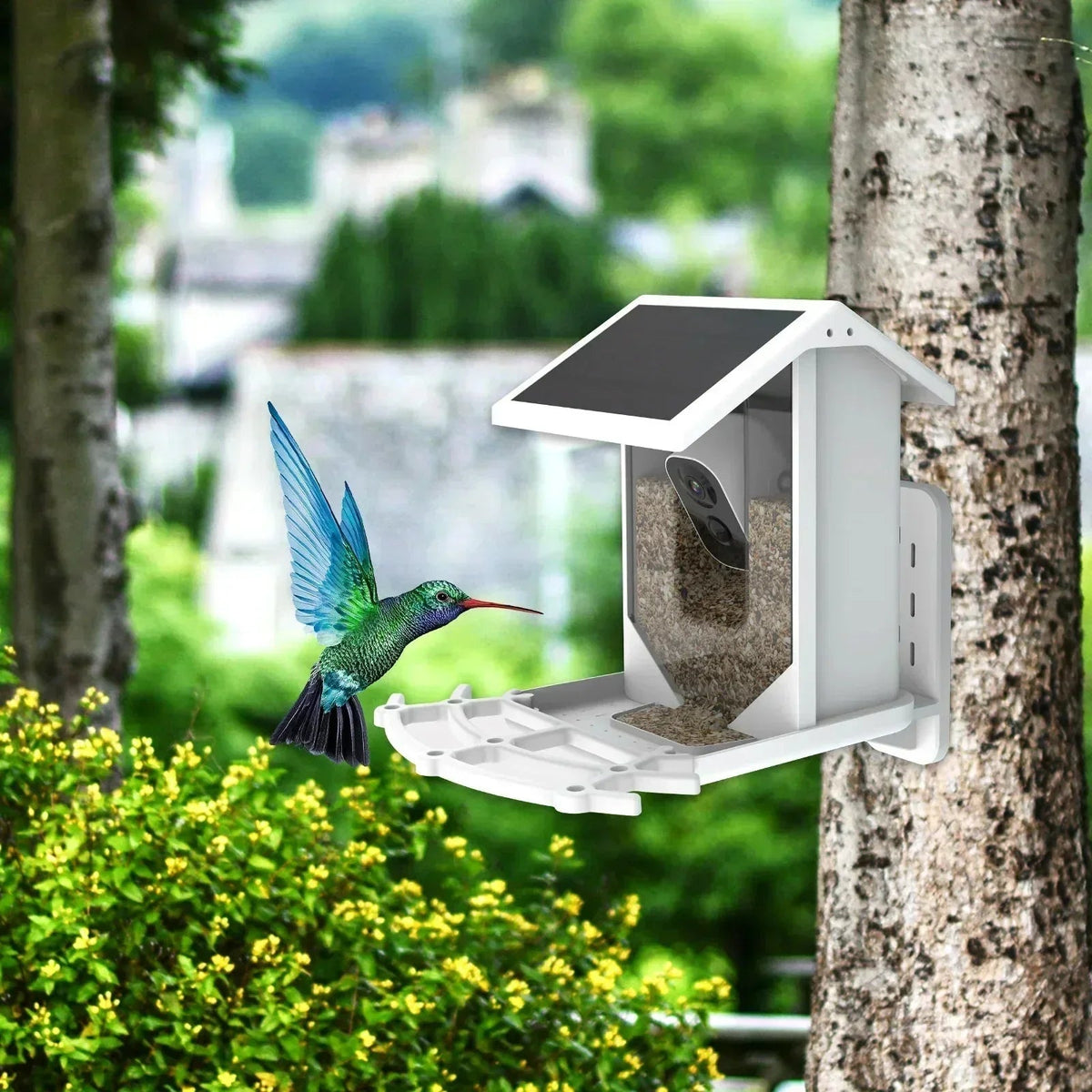 Mosrugs | Smart Solar Bird Feeder with Bird Recognition – Weatherproof Garden Feeder