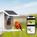 Mosrugs | Smart Solar Bird Feeder with Bird Recognition – Weatherproof Garden Feeder