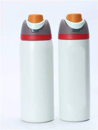 Mosrugs | LeakProof – Insulated Stainless Steel Water Bottle with Straw
