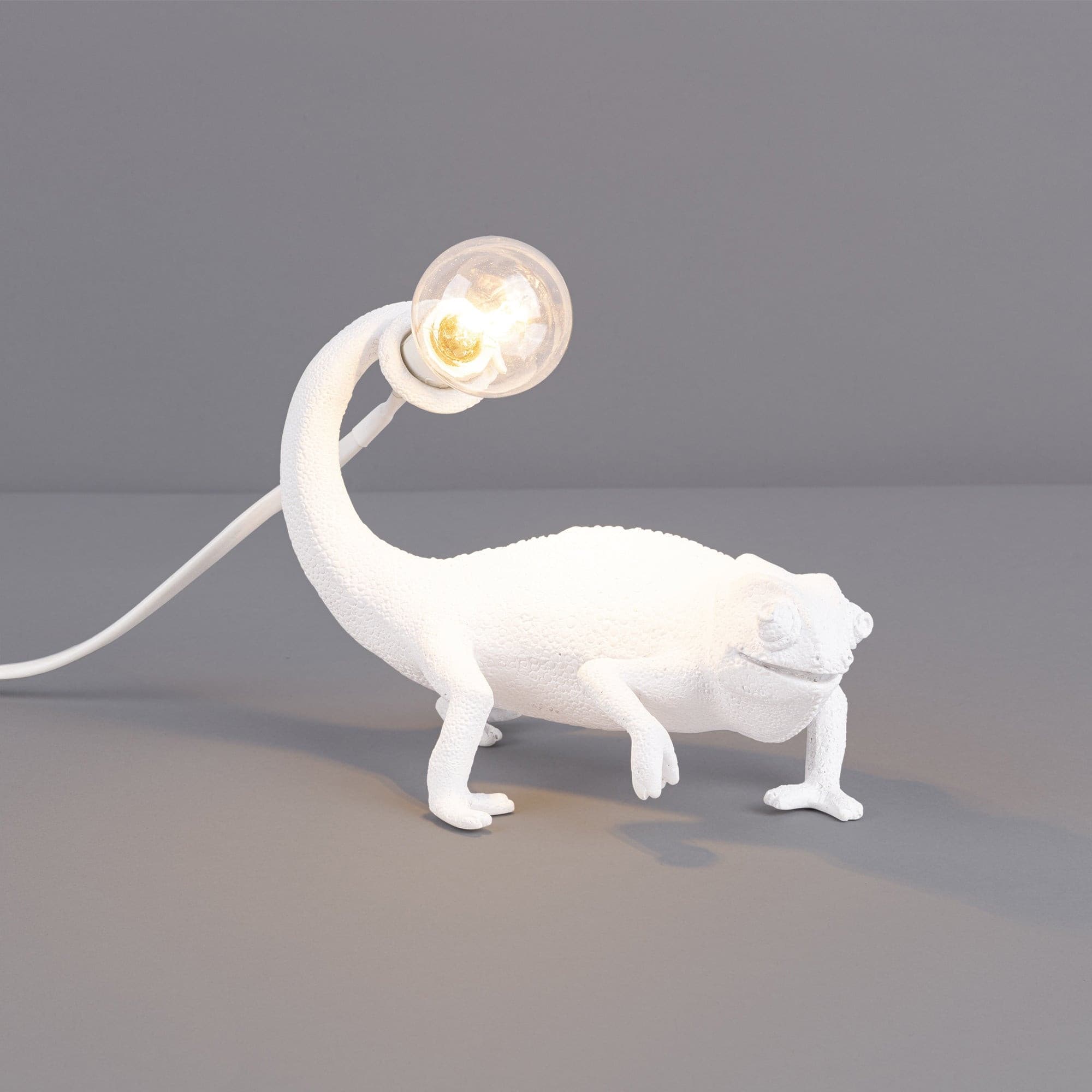 Mosrugs | CamouGlow – Resin Table Lamp with Charming Chameleon Detail