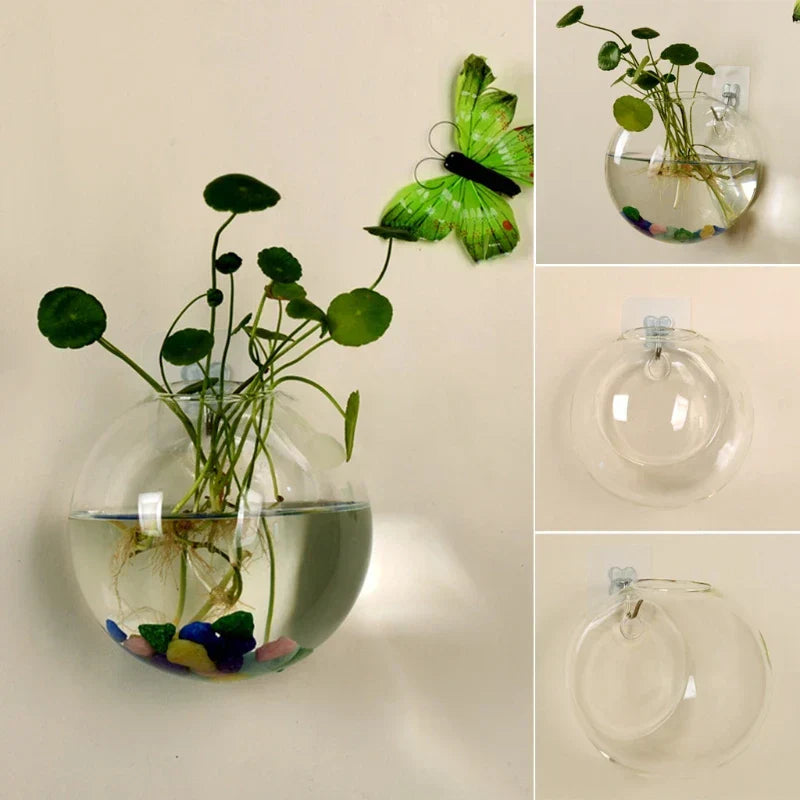 Mosrugs | AeroVase - Hydrologische Glasdecoratie