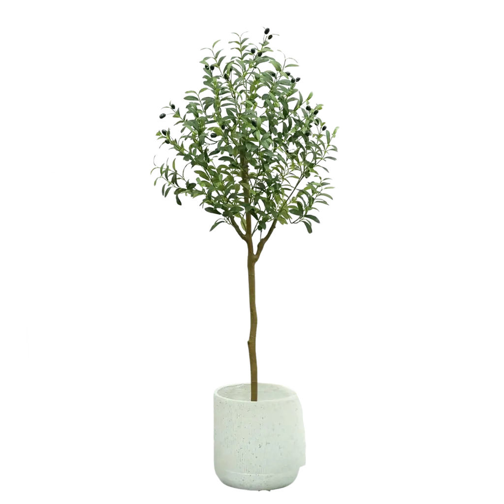 Mosrugs | OlivaLeaf - Lifelike Olive Tree Decoration