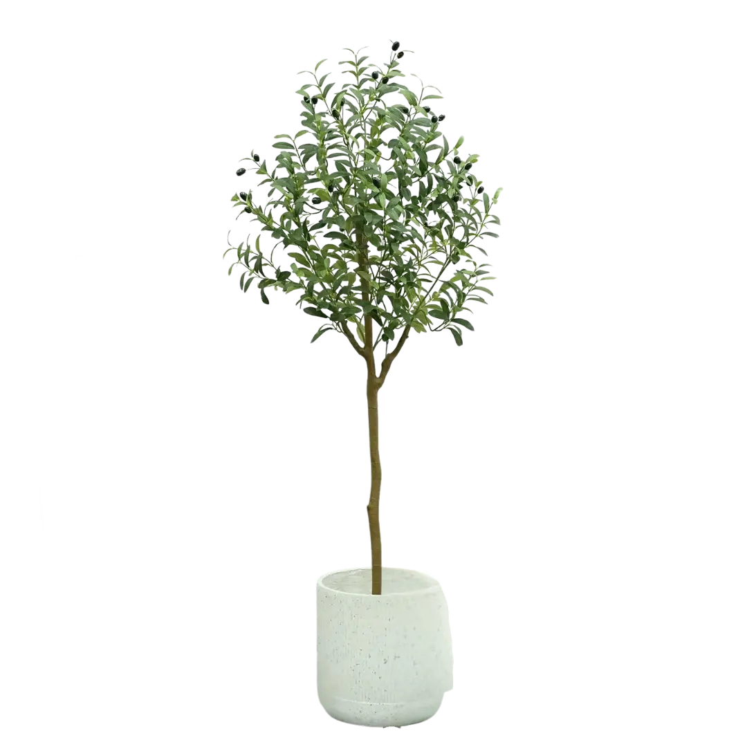 Mosrugs | OlivaLeaf - Lifelike Olive Tree Decoration