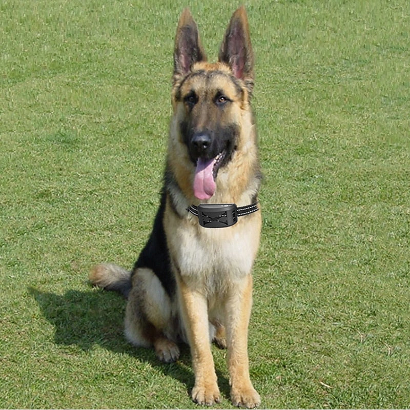 Mosrugs | Wireless Dog Fence System with Adjustable Waterproof Collar – Up to 240 Metres Range