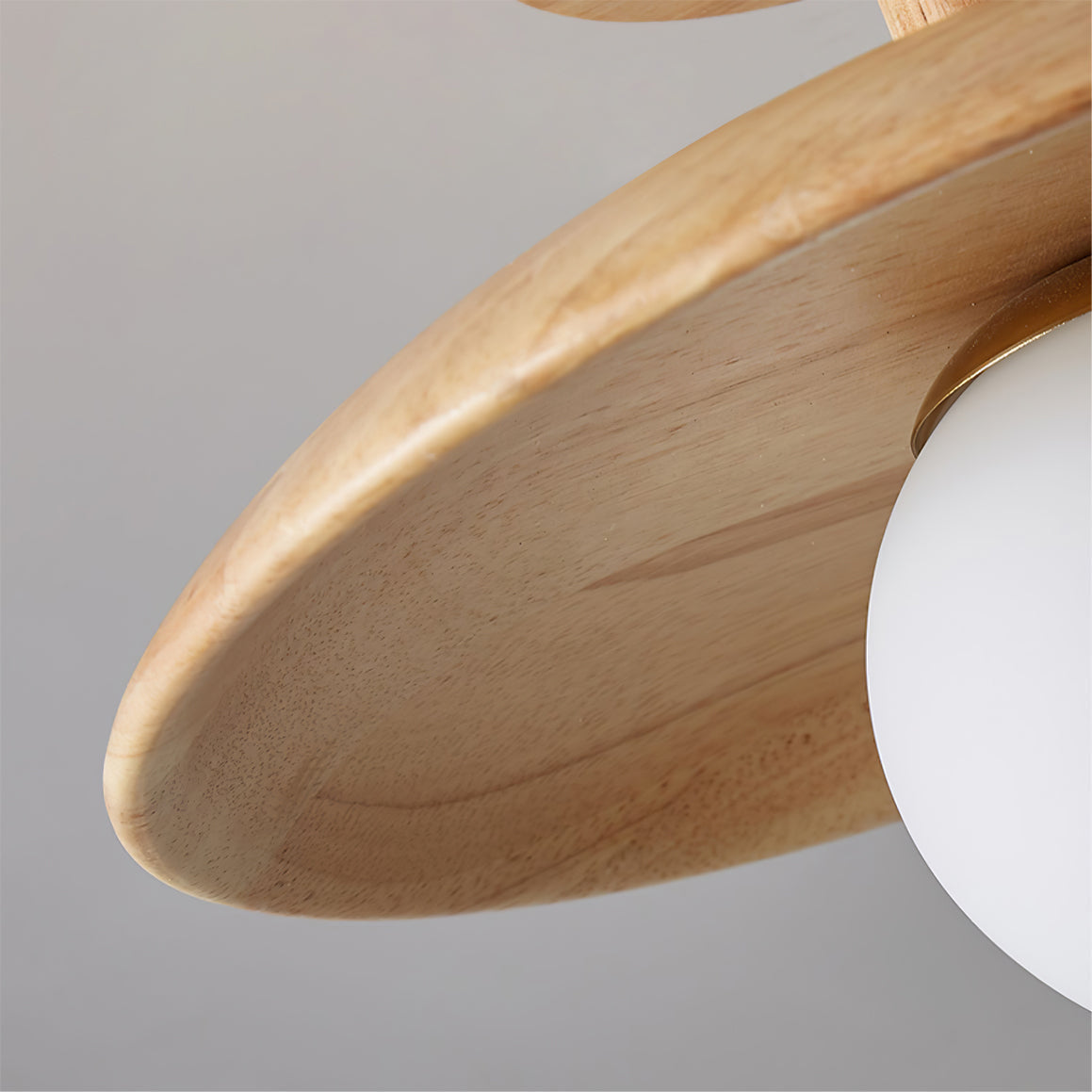 Mosrugs | CelestialGlow - Ceiling Fixture