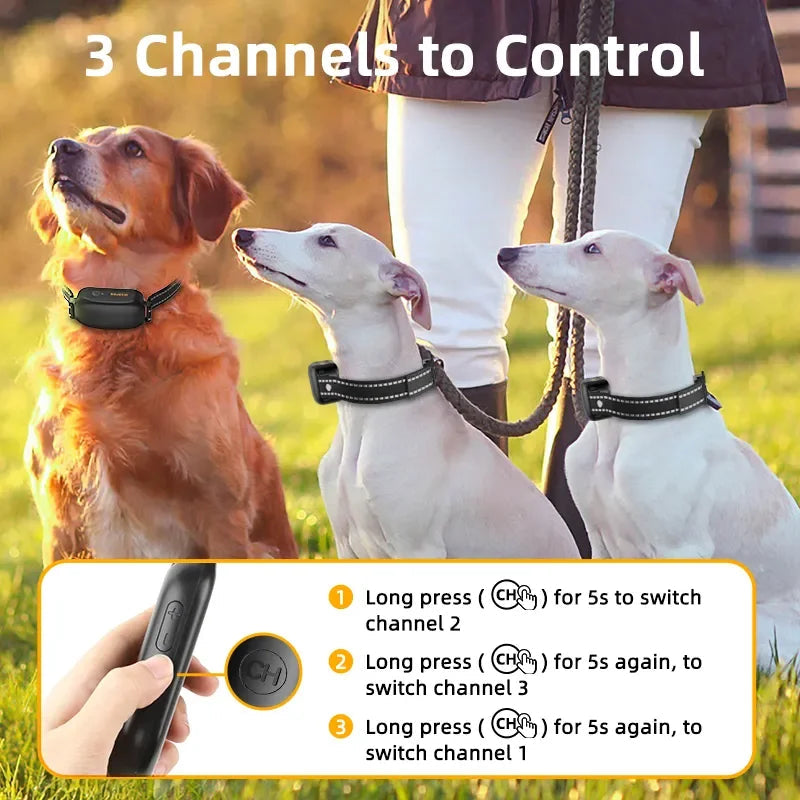 Mosrugs | ProTrain – Rechargeable Waterproof Dog Training Collar with Remote