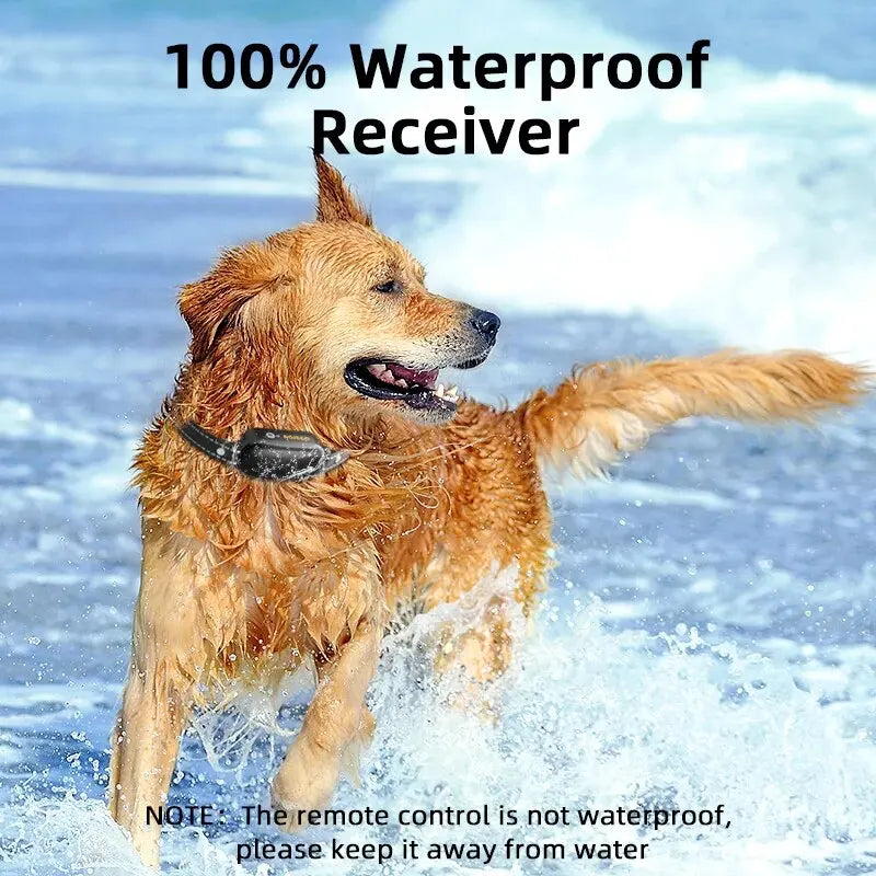 Mosrugs | ProTrain – Rechargeable Waterproof Dog Training Collar with Remote