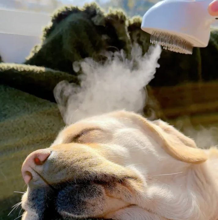 Mosrugs | PawMist – Mist-Infused Massage Brush for Pets | Gentle Grooming & Cooling Care for Cats and Dogs