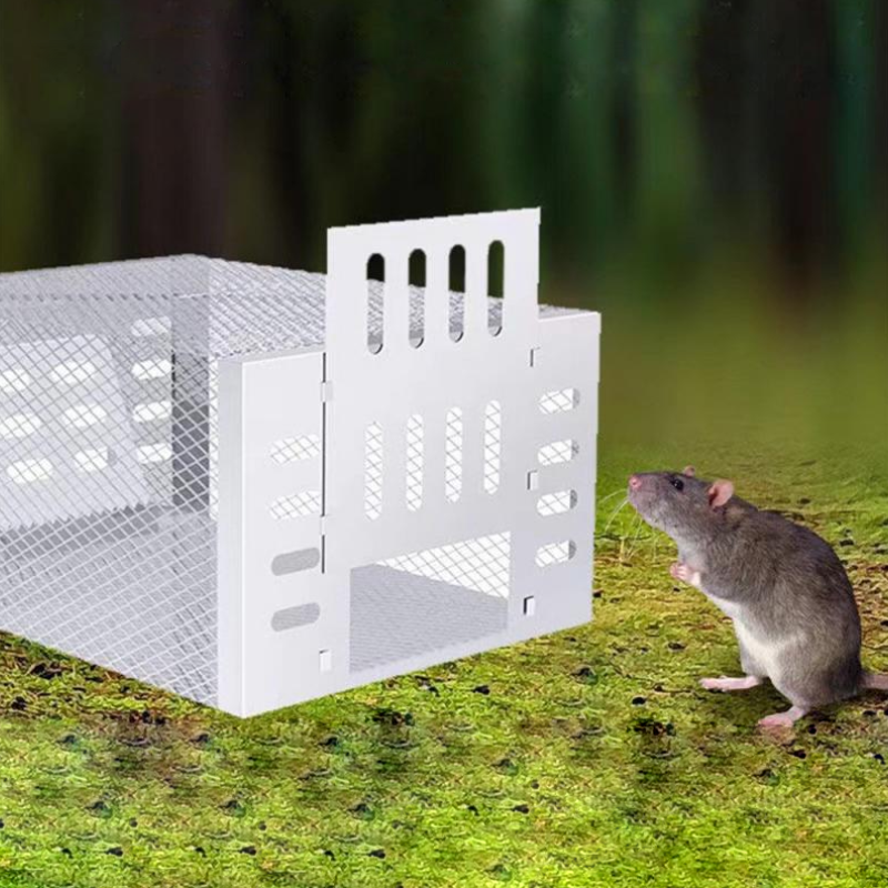 Mosrugs | Humane Mouse Trap for Safe & Effective Pest Control – Reusable Large Capacity