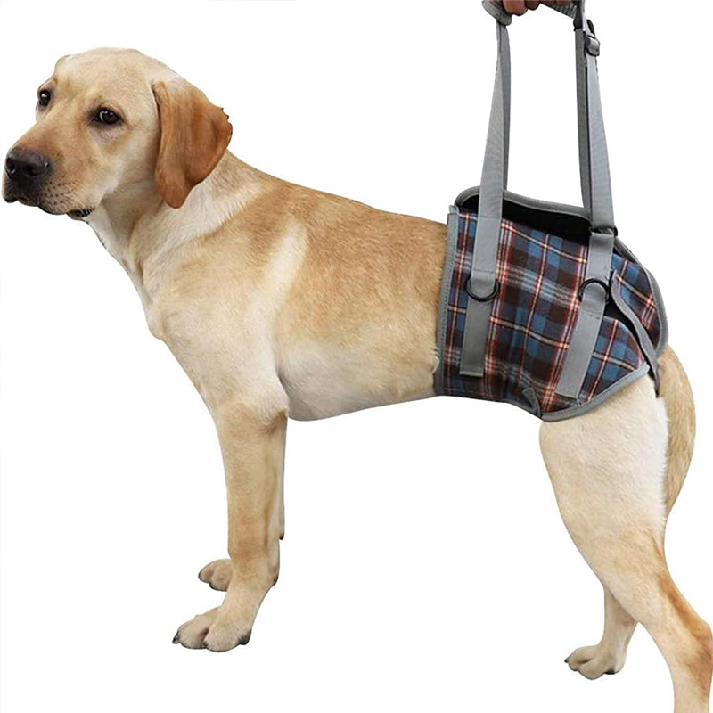 Mosrugs | Orthopedic Rear Leg Support Harness for Dogs – Ideal for Arthritis, Hip Dysplasia & Mobility Aid