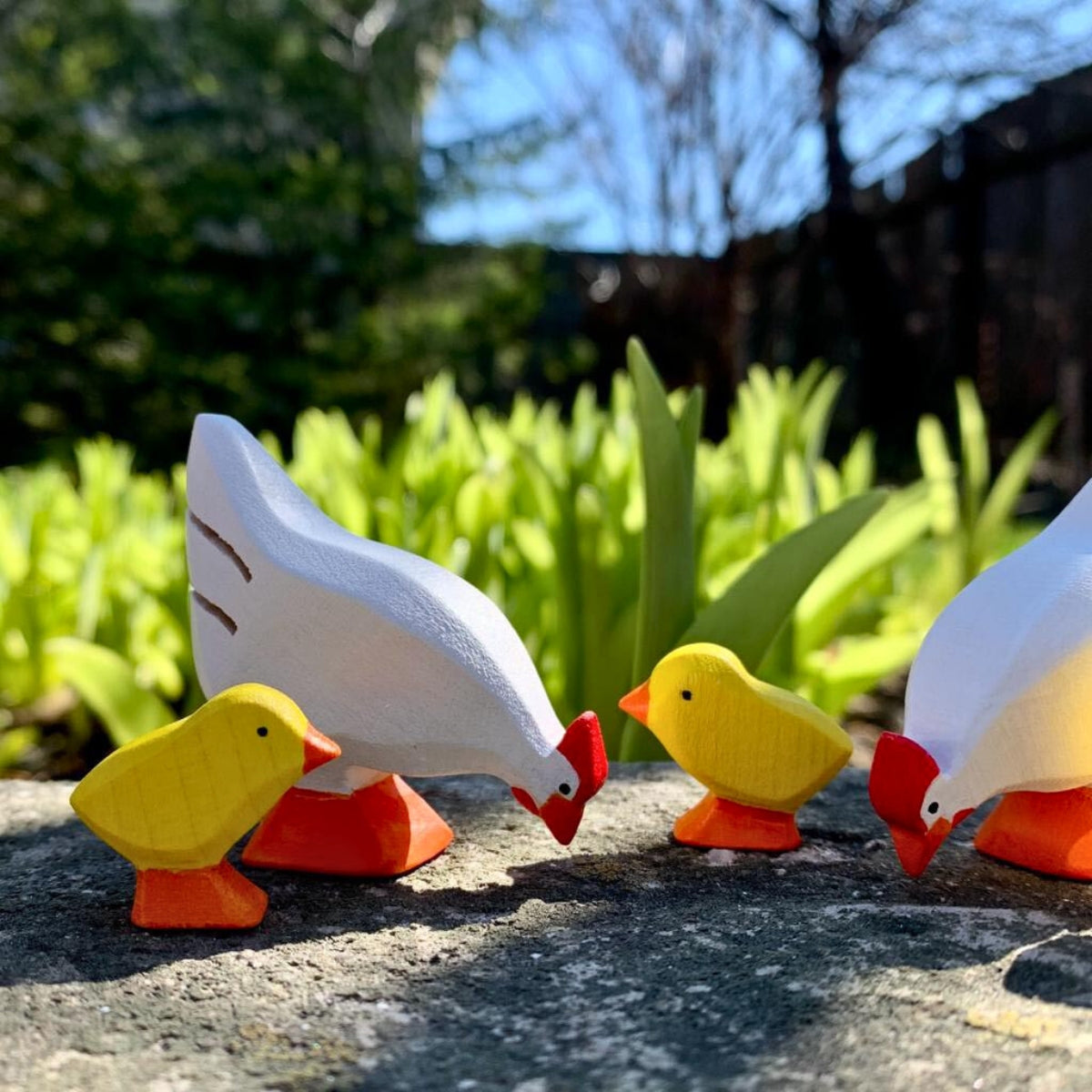 Wooden Bird - Chicken Hen - White