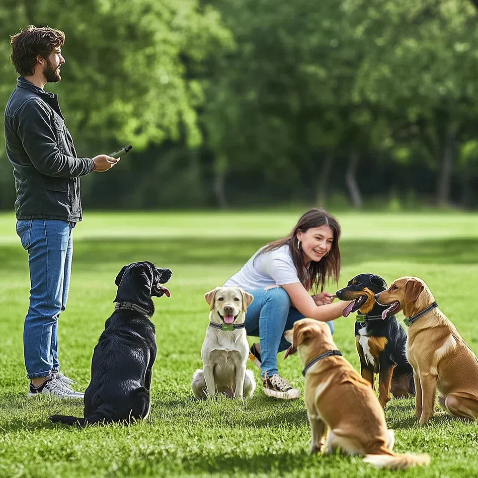 Mosrugs | JECO – Professional Dog Training Collar | Anti-Bark & Remote Control