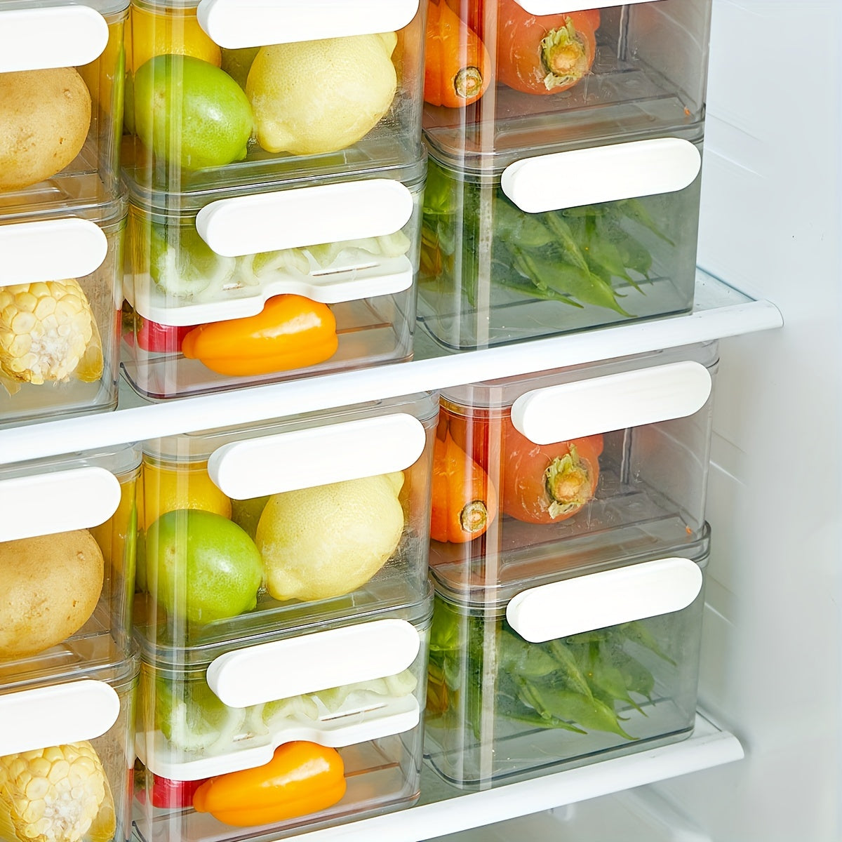 Mosrugs | FreshKeep - Durable PET Container for Extended Freshness